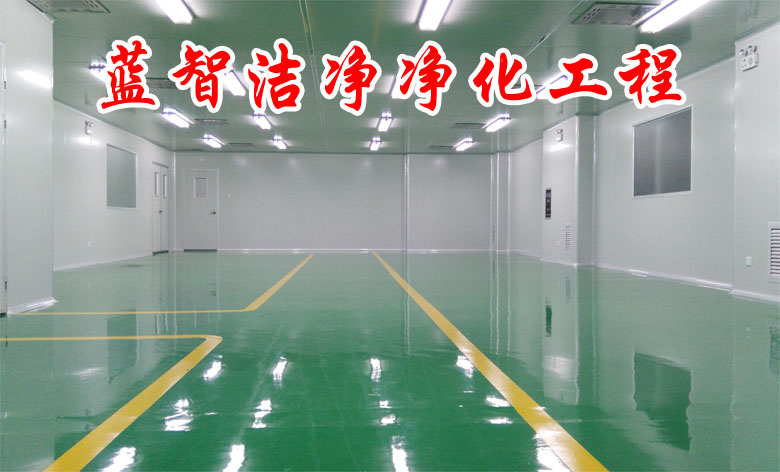 蓝智洁净空气净化公司